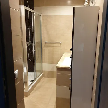 Przestronny Apartament Dla 9 Osob - 4 Sypialnie, Parking Gliwice Exterior foto