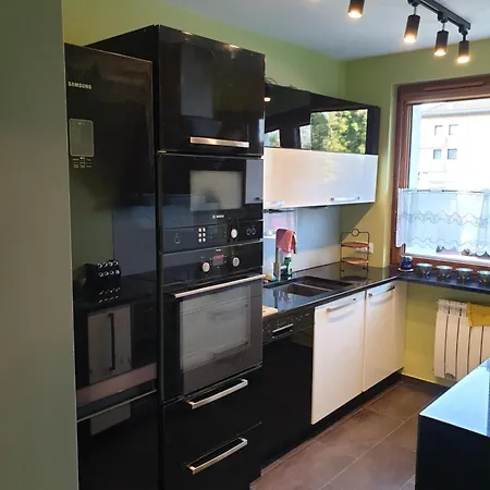 Przestronny Apartament Dla 9 Osob - 4 Sypialnie, Parking Gliwice Exterior foto